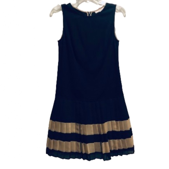 Drop Waist Pleated Dress - Picture 2 of 4